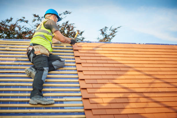 Best Solar Panel Roofing Installation  in Reading, PA